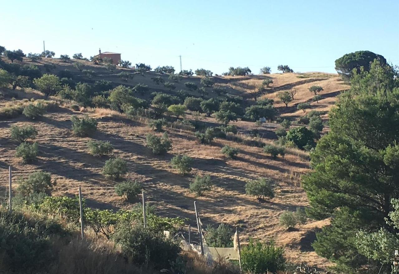 Algarrobo Azul Villa Almuñécar Dış mekan fotoğraf
