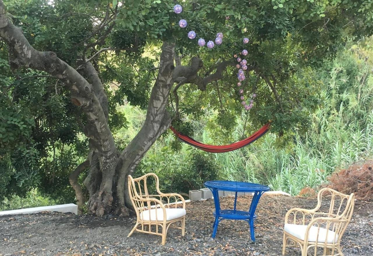Algarrobo Azul Villa Almuñécar Dış mekan fotoğraf